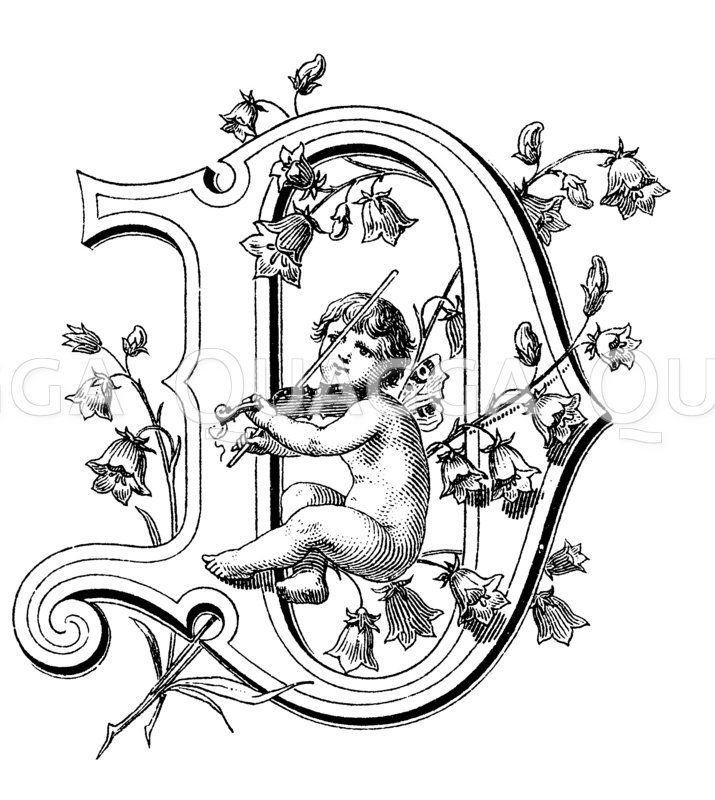 Buchstabe D, Schriftart: Amoretten