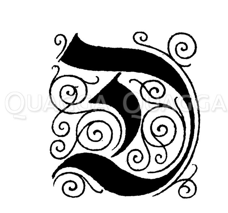 Buchstabe D, Schriftart: Deutsche Renaissanceschrift