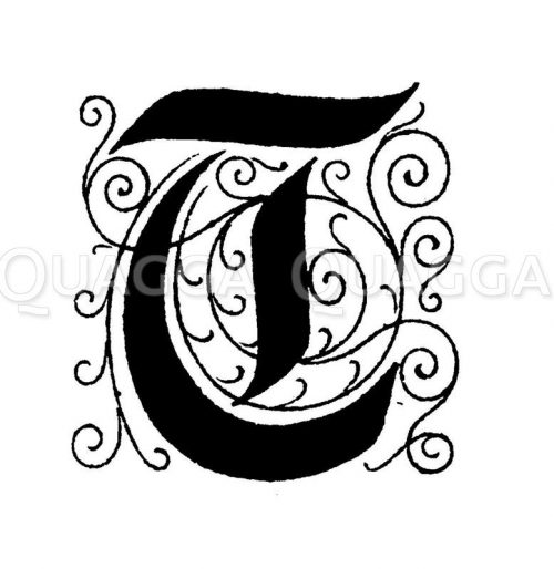 Buchstabe T; Initiale; Majuskel; Typografie; Typographie; Versal