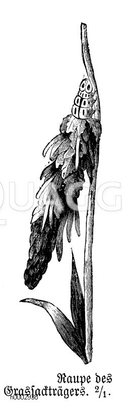 Grassackträger [Digital]