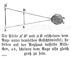 Mensch: Pfeile A'B' und AB erscheinen dem Auge unter demselben Gesichtswinkel, sie bilden auf der Netzhaut dasselbe Bildchen, ab), scheinen dem Auge also gleich groß zu sein [Digital]