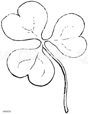 Verkehrtherzförmiges Blatt des Sauerklees (Oxalis micrantha) [Digital]