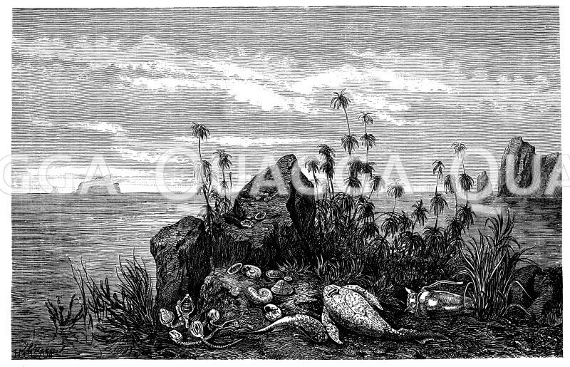 Devonische Küstenlandschaft mit Seelilien, Nautileen und Panzerfischen [Digital]