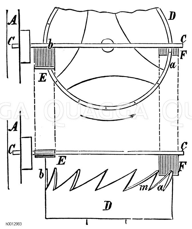 Spindelhemmung Quagga Illustrations