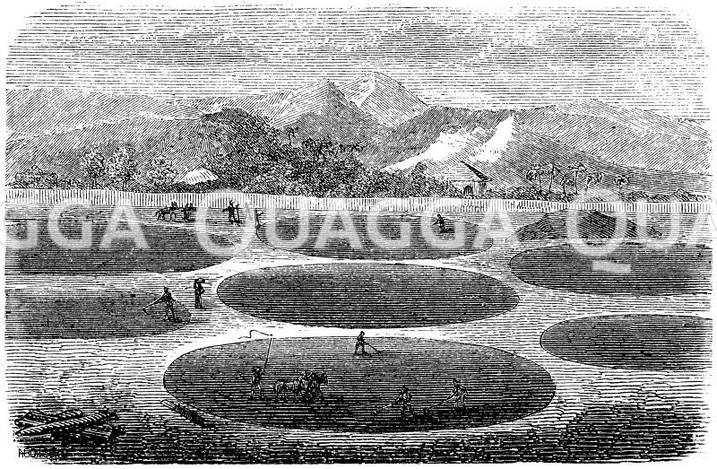 Amalgamationsplatz zu Salgado in Mexiko [Digital]