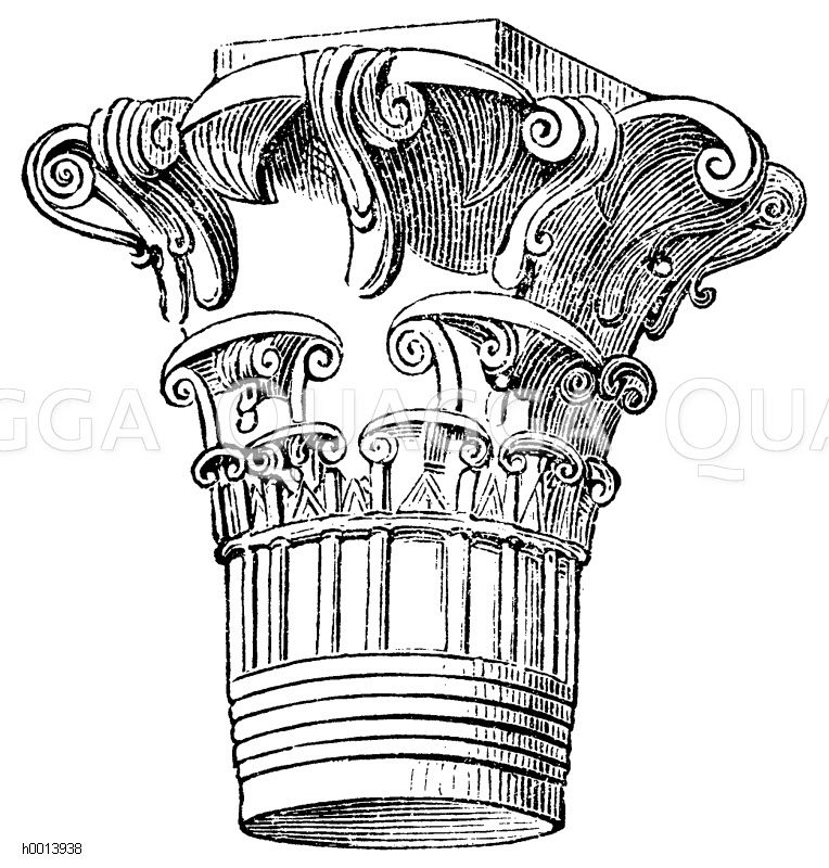 Kapitell von Esne Quagga Illustrations