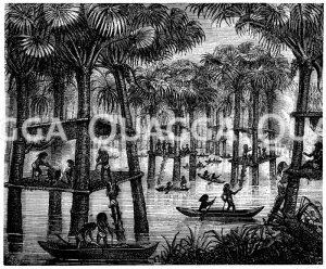 Pfahlbauten der Indianer im Orinoco [Digital]