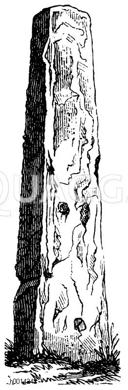 Gewöhnliche Form eines Menhirs [Digital]