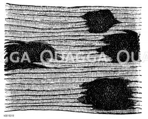 Kristallhaufen aus geräuchertem Schinken [Digital]