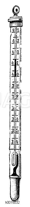 Fieberthermometer [Digital]