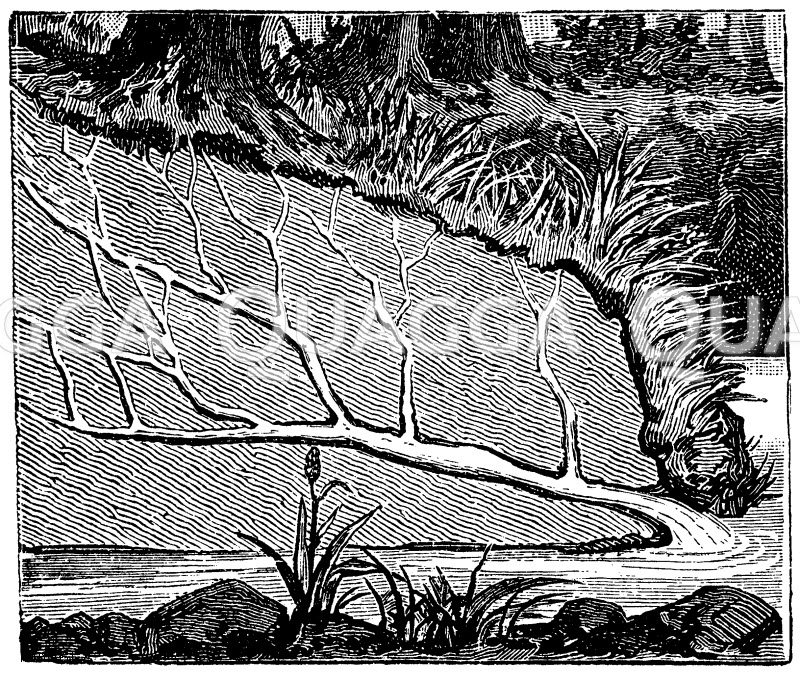 Schema Wasserquelle, gebildet durch sickerndes Wasser Quagga