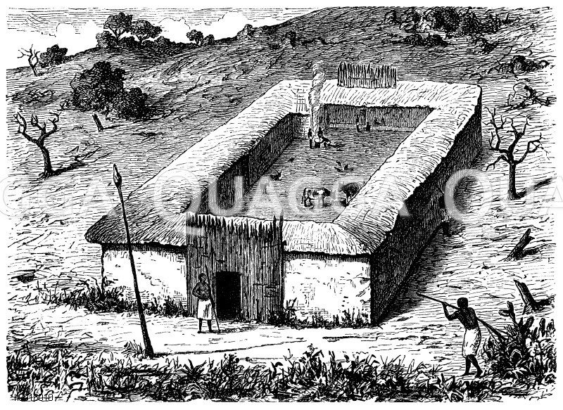 Tembe der BundaAfrikaner (nach Livingstone und Stanley) Quagga