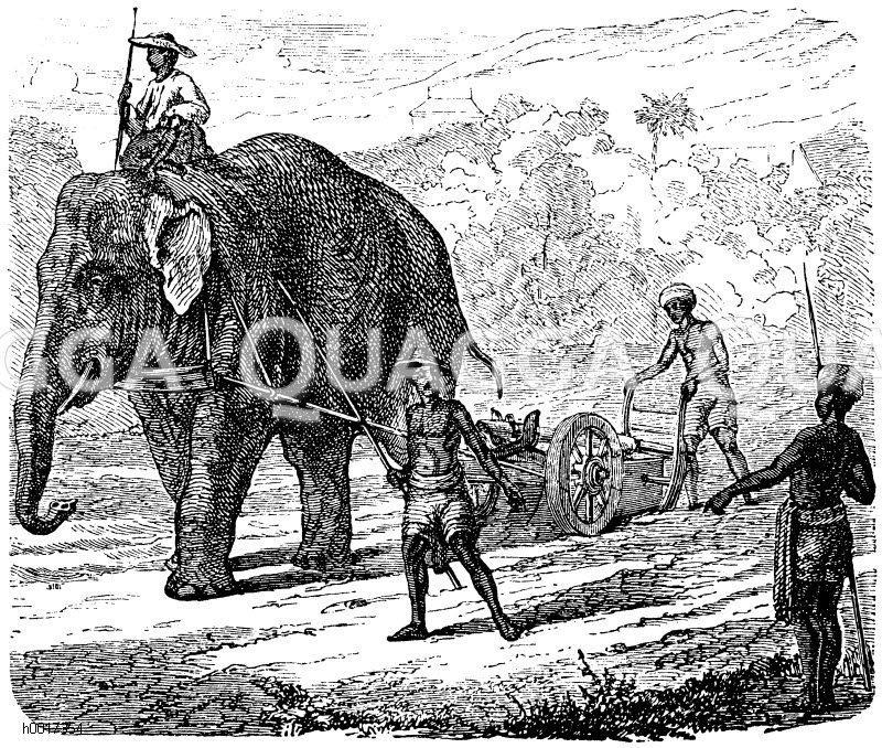 Bodenbearbeitung in Indien im 19. Jahrhundert, Elefant zieht Pflug [Digital]