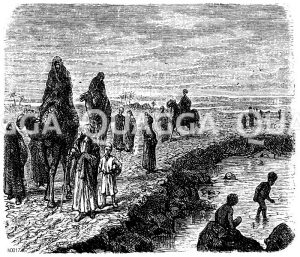 Damm im Delta [Digital]