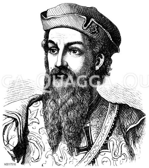 Afonso de Albuquerque, auch Afonso der Große Quagga Illustrations