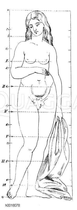 Einteilung des menschlichen Körpers [Digital]