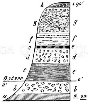 Profil durch die samländische Bernsteinformation bei Groß Hubnicken. Nach Bunge. o‘) Ostseespiegel, a) Wilde Erde, b) Blaue Bernsteinerde, c) Grüne Mauer, a, b, c) bernsteinführende Glaukonitformation, d) Weißer Sand, e) Braunkohlenflöß, f) Gestreifter Sand, g) Diluvialschichten, e, f, g) Braunkohlenformation, h) Humus [Digital]