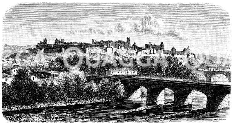 Carcassonne Quagga Illustrations