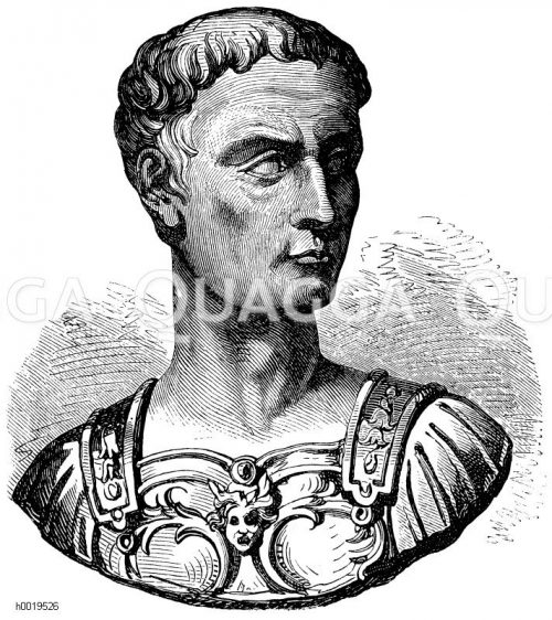 Cäsar Bildkategorie Quagga Illustrations Bilddatenbank