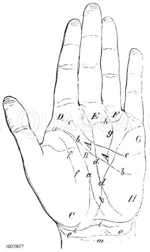 Linien und Räume der Hand in der Chiromantie [Digital]