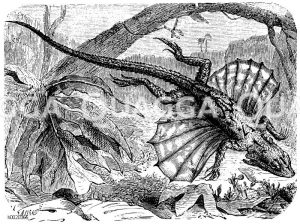 Fliegender Drache [Digital]