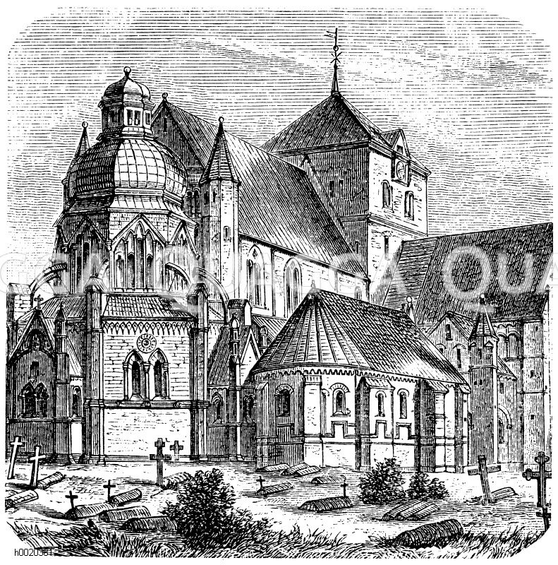 Dom zu Drontheim Quagga Illustrations