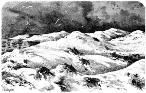 Dünen (nordfriesische Inseln) [Digital]