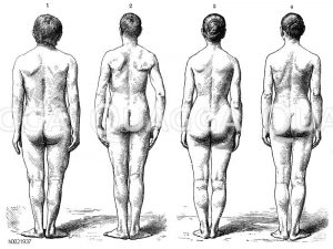 Unterschiede der Körperproportionen beider Geschlechter. Links: kurzbeiniger Mann, 2.v.l.: langbeiniger Mann, 2.v.r.: kurzbeinige Frau, rechts: langbeinige Frau [Digital]