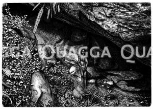 Weddahöhle (nach Sarafin) [Digital]