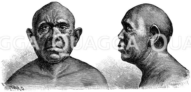 Australier. Haarloser Australier (nach Miklucho-Maclay) [Digital]
