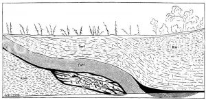 Längenprofil des Wassergrabens und der eingeschnittenen Kulturschicht an der Schuffenquelle (nach O. Fraas) [Digital]
