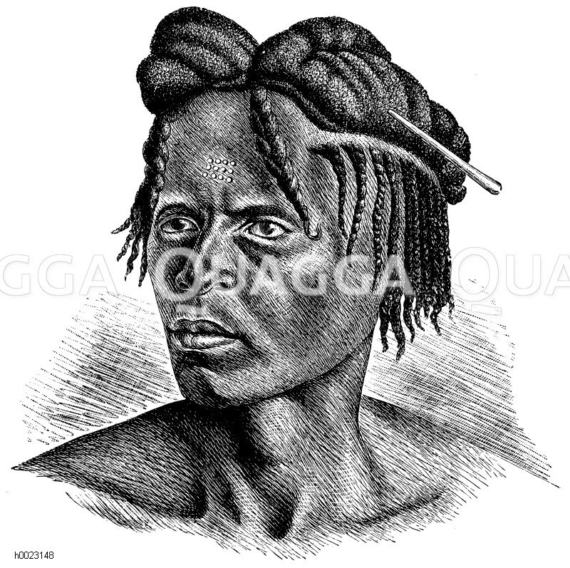 NiamNiam Quagga Illustrations