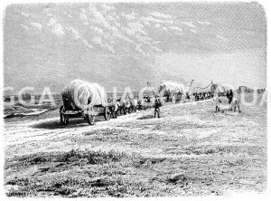Südafrikanische Ochsenwagen, Transvaal [Digital]