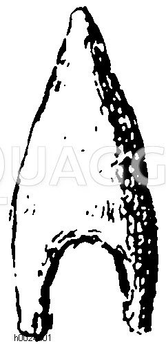 Denkmäler des Eiszeitalters, Steinzeitalters, Steinwerkzeug [Digital]
