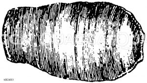 Denkmäler des Eiszeitalters, Steinzeitalters, Bronzezeitalters und Eisenzeitalters. Aus den Pfahlbauten im Bodensee [Digital]