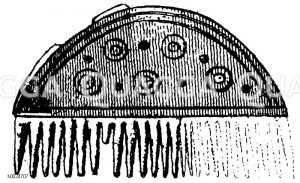 Denkmäler des Eiszeitalters, Bronzezeitalters, Eisenzeitalters: Beinkamm [Digital]
