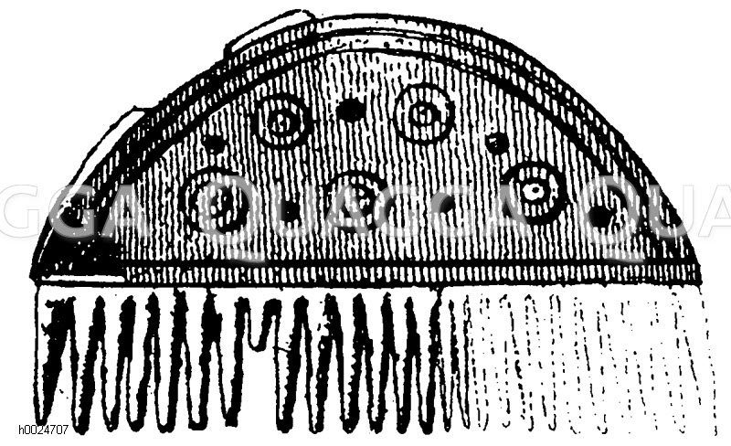 Denkmäler des Eiszeitalters, Bronzezeitalters, Eisenzeitalters: Beinkamm [Digital]