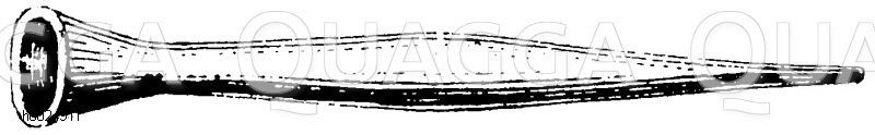 Ägypten. Musiaklisches Instrument [Digital]