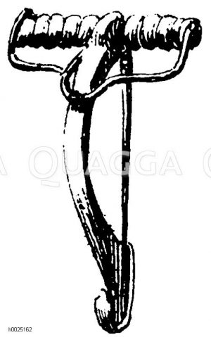 Altitalien und Etrurien, Denkmal der späteren Bronzeperiode und Eisenperiode: Schmuck [Digital]