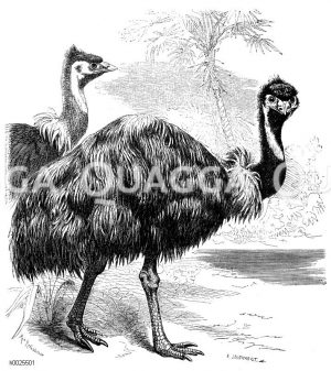 Emu [Digital]