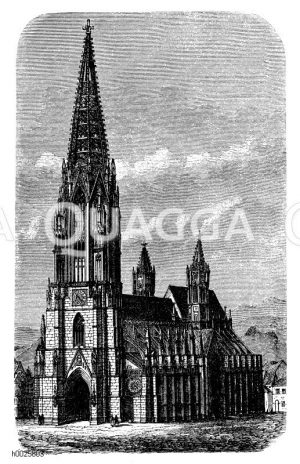 Münster zu Freiburg in Baden [Digital]