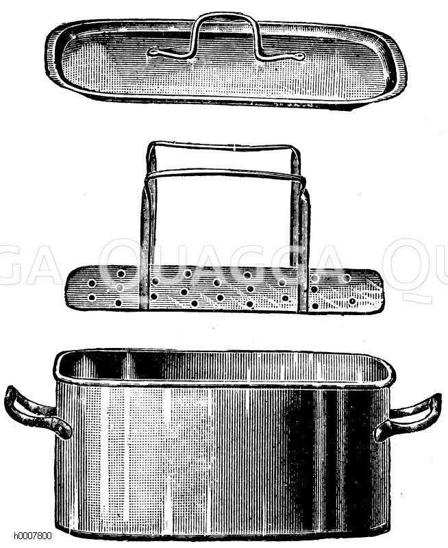 Spargelkocher Zeichnung/Illustration