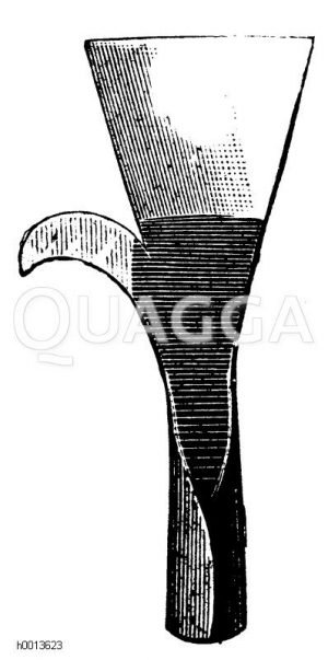 Astputzer (die Tülle dient zur Befestigung des Instruments auf einer langen Stange) Zeichnung/Illustration