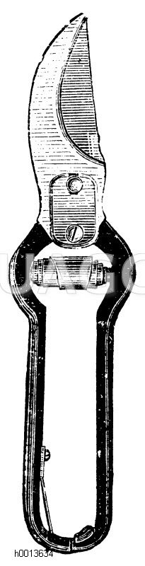 Baumschere mit Pufferfedern Zeichnung/Illustration