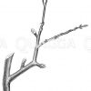 Rückschnitt älterer mit Ringelspießen besetzter Fruchtzweige (an Kernobstbäumen) zur Erhaltung des Holztriebes Zeichnung/Illustration