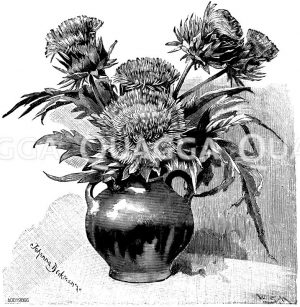 Blumenvase mit Artischockenblüten Zeichnung/Illustration