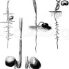 Keinende Palmensamen verschiedener Arten Zeichnung/Illustration