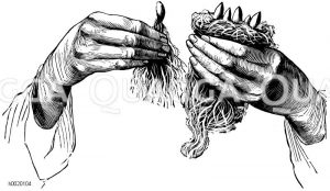 Einlegen der Kaime zum Treiben in Moos Zeichnung/Illustration