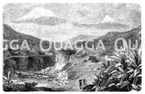 Kilimandscharo [Digital]