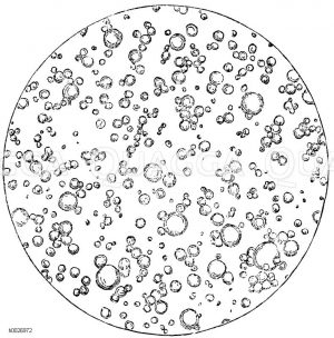 Tropfen Kuhmilch [Digital]
